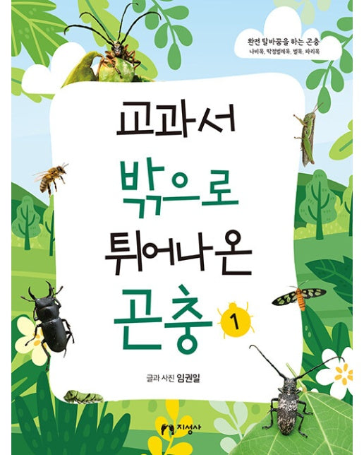 교과서 밖으로 튀어나온 곤충 1 : 완전 탈바꿈을 하는 곤충, 나비목, 딱정벌레목, 벌목, 파리목