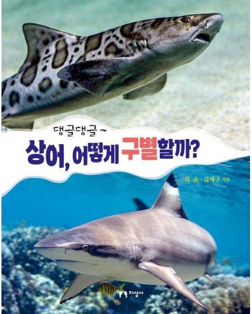 댕글댕글~ 상어, 어떻게 구별할까? - 댕글댕글 7 (양장)