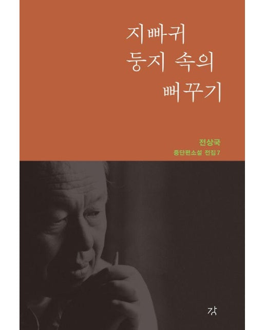 지빠귀 둥지 속의 뻐꾸기 - 전상국 중단편소설 전집 7 (양장)