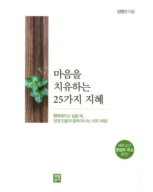 마음을 치유하는 25가지 지혜 행복해지고 싶을 때, 성경 인물과 함께 떠나는 치유 여정!