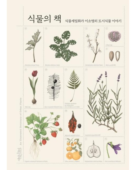 식물의 책 (식물세밀화가 이소영의 도시식물 이야기)