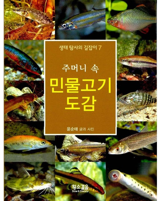 주머니 속 민물고기 도감