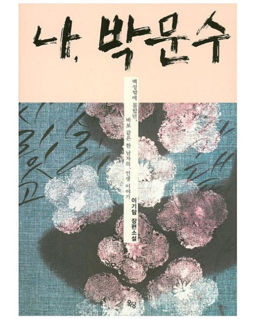 나, 박문수 (이기담 장편소설)