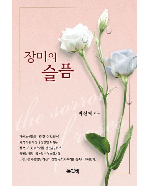 장미의 슬픔