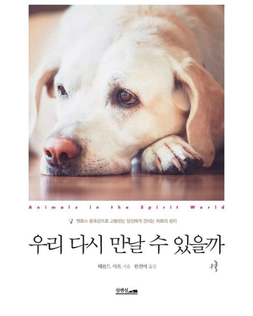 우리 다시 만날 수 있을까