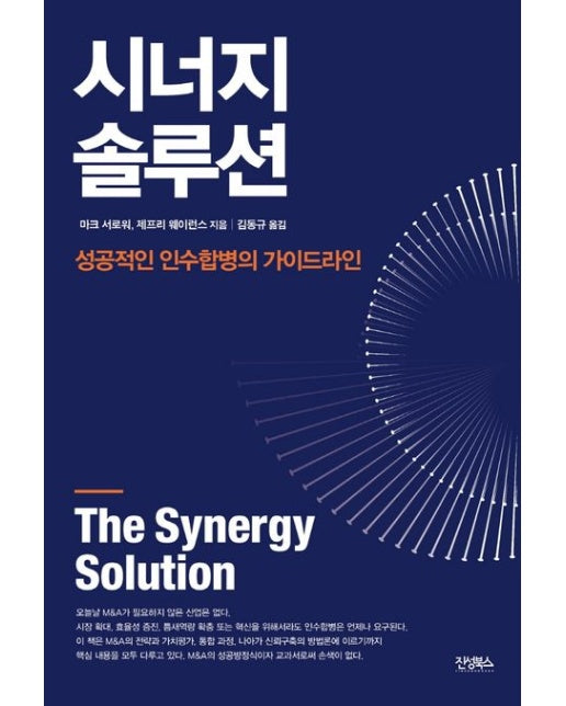 시너지 솔루션 (성공적인 인수합병의 가이드라인)