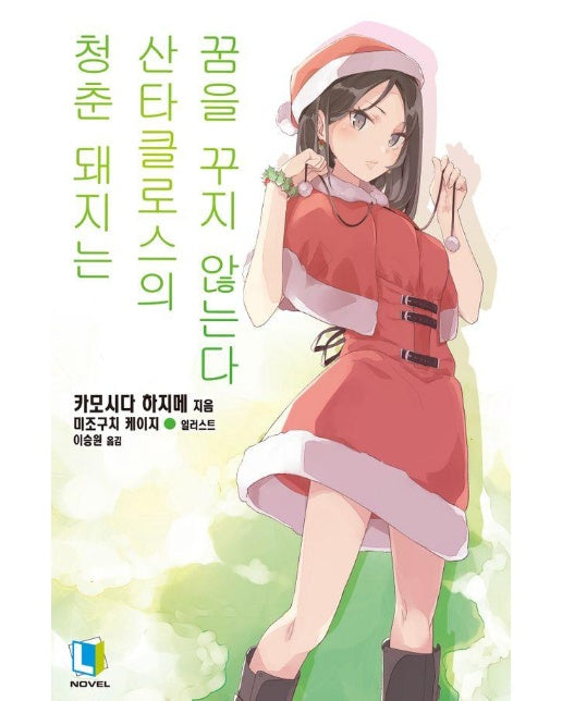 청춘 돼지는 산타클로스의 꿈을 꾸지 않는다 13 - L Novel