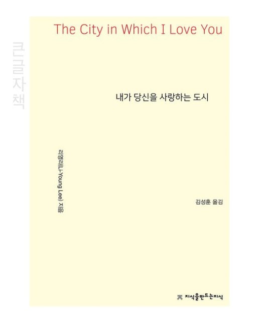 내가 당신을 사랑하는 도시(큰글자책)