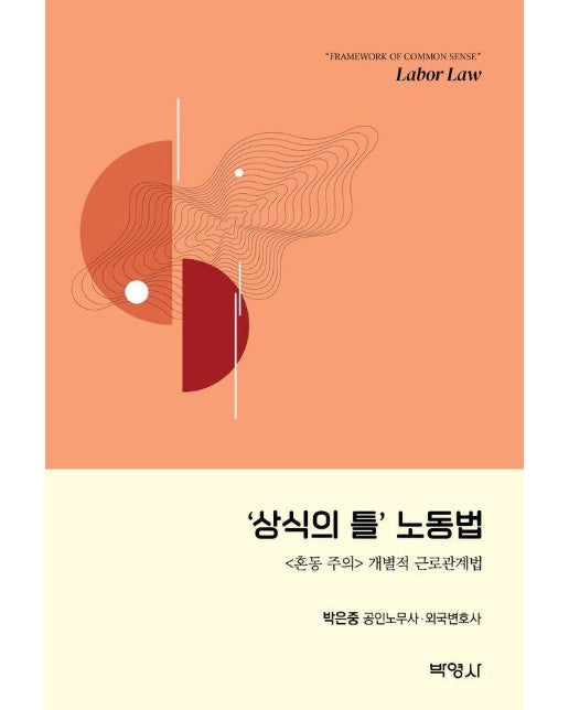 상식의 틀 노동법 : <혼동 주의> 개별적 근로관계법 