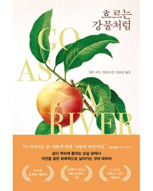 흐르는 강물처럼 (셸리 리드 장편소설)