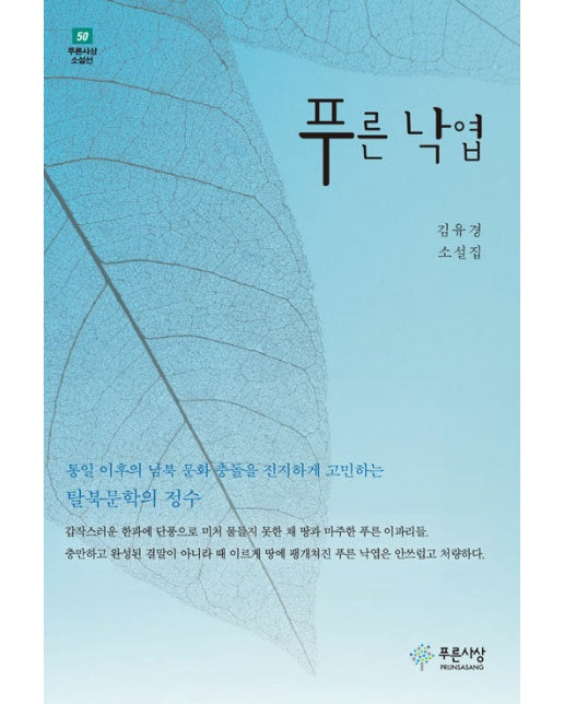 푸른 낙엽 - 푸른사상 소설선 50