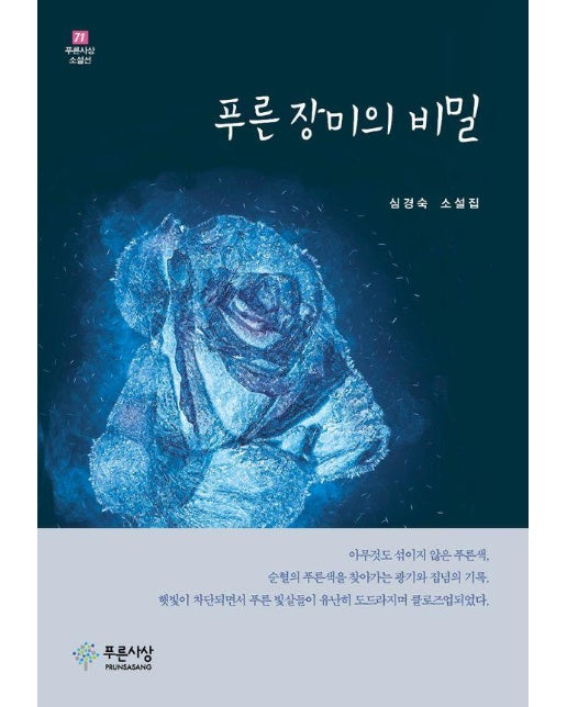 푸른 장미의 비밀 - 푸른사상 소설선 71