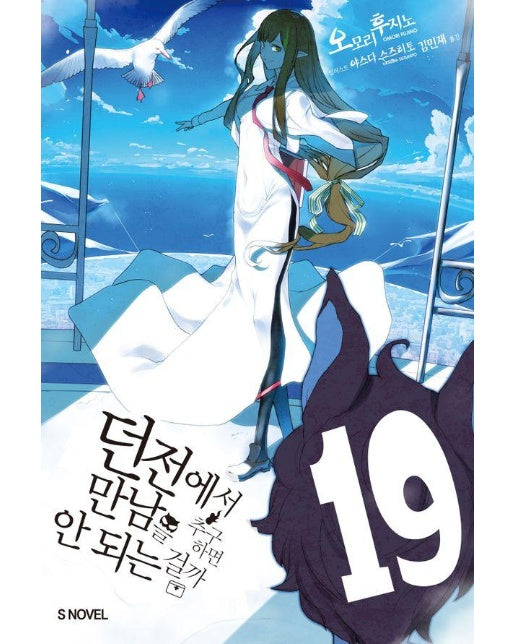 던전에서 만남을 추구하면 안 되는 걸까 19 - S Novel