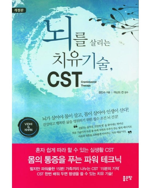 뇌를 살리는 치유 기술 CST (개정판)