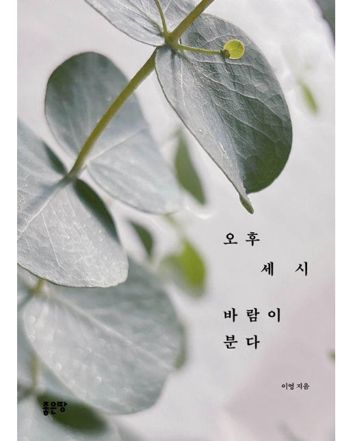 오후 세 시 바람이 분다