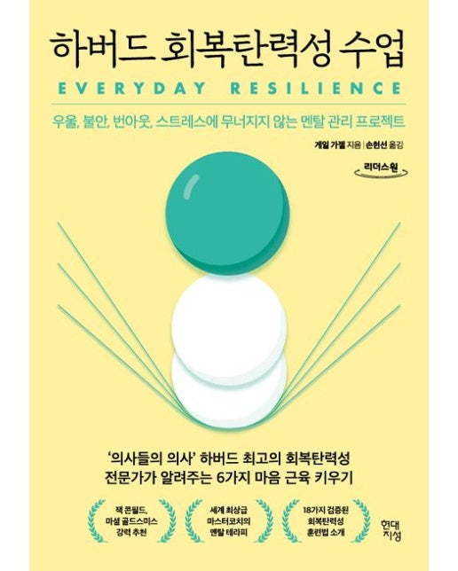 하버드 회복탄력성 수업(큰글자도서)