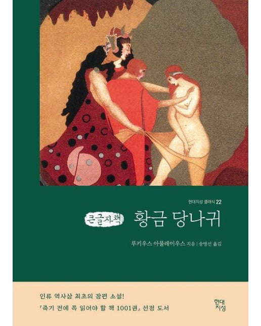 황금 당나귀(큰글자책)