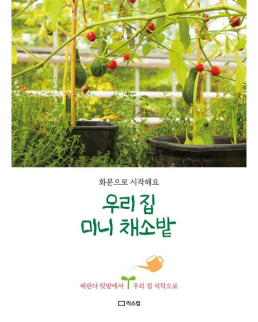 우리 집 미니 채소밭 (화분으로 시작해요 | 베란다 텃밭에서 우리 집 식탁으로)