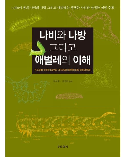 나비와 나방 그리고 애벌레의 이해