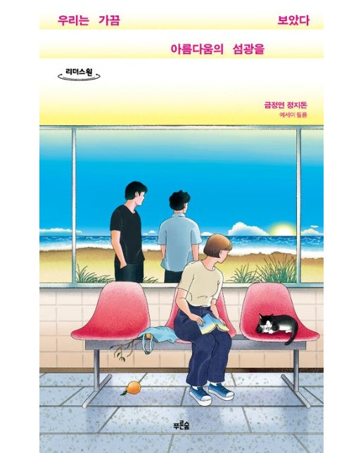 우리는 가끔 아름다움의 섬광을 보았다(큰글자도서)