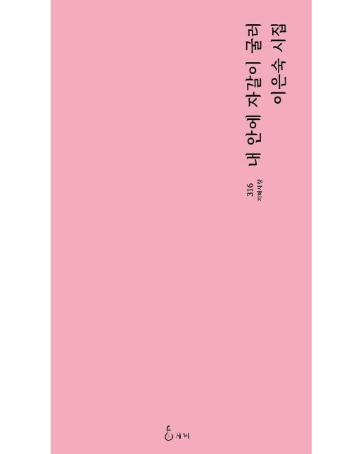 내 안에 자갈이 굴러 - 지혜사랑 시인선 316