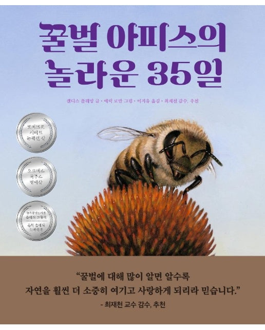 꿀벌 아피스의 놀라운 35일 - 생각곰곰 9