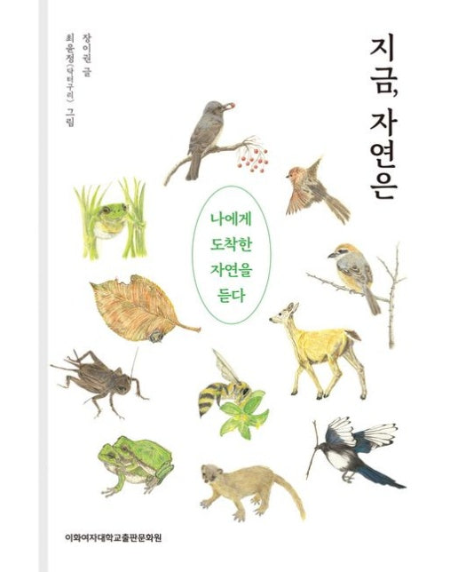 지금, 자연은 (나에게 도착한 자연을 듣다 | 양장본 Hardcover)