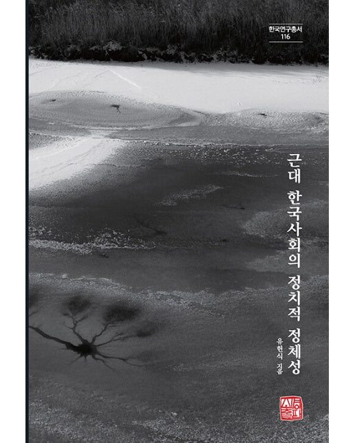 근대 한국사회의 정치적 정체성 - 한국연구총서 116 (양장)