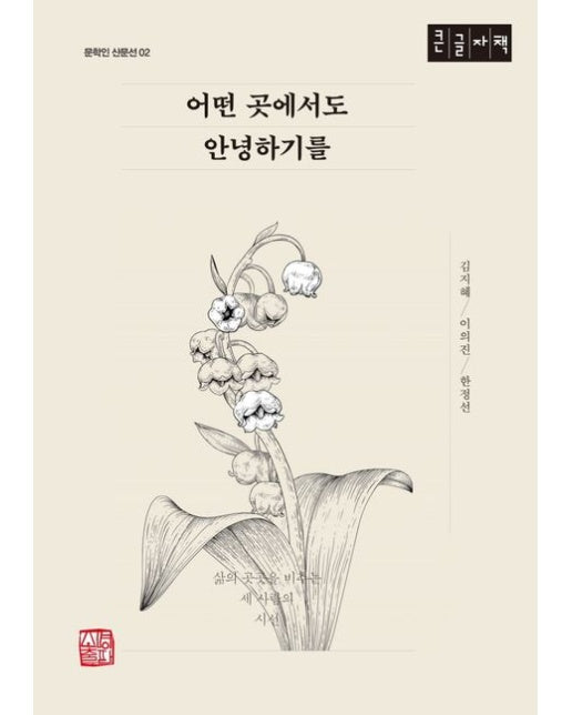 어떤 곳에서도 안녕하기를(큰글자책) (삶의 곳곳을 비추는 세 사람의 시선)