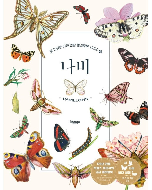 나비 - 알고 싶은 자연 관찰 컬러링북 시리즈 2