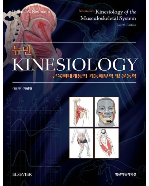 뉴만 kinesiology (근육뼈대계통의 기능해부학 및 운동학 | 4 판 | 양장본 Hardcover)