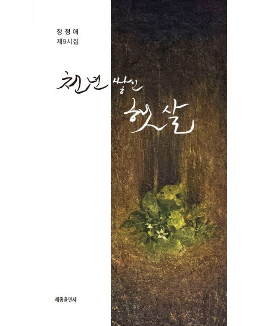 천년 쌓인 햇살 (장정애 제9시집)