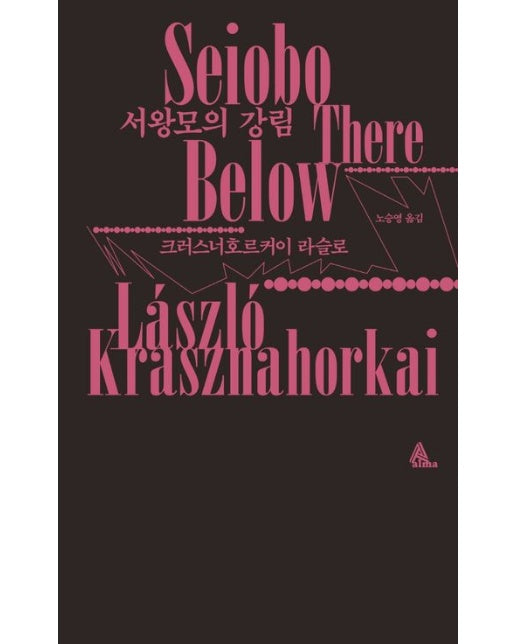 서왕모의 강림 (양장본 Hardcover)