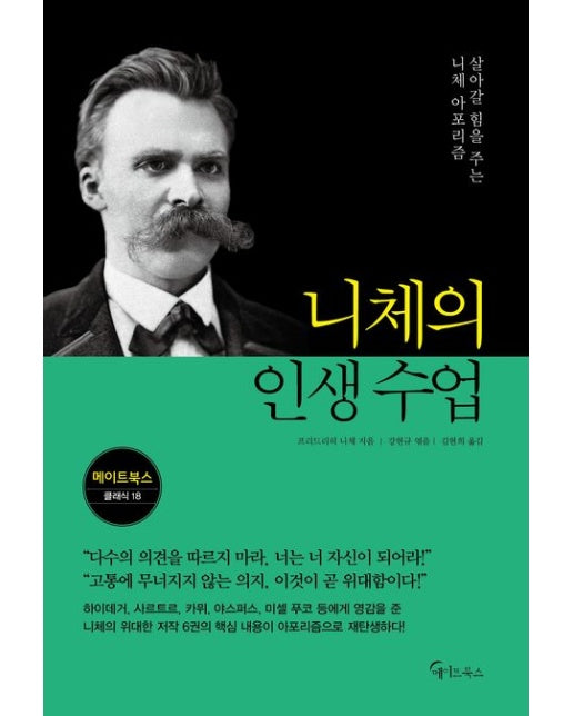 니체의 인생 수업(큰글자도서)