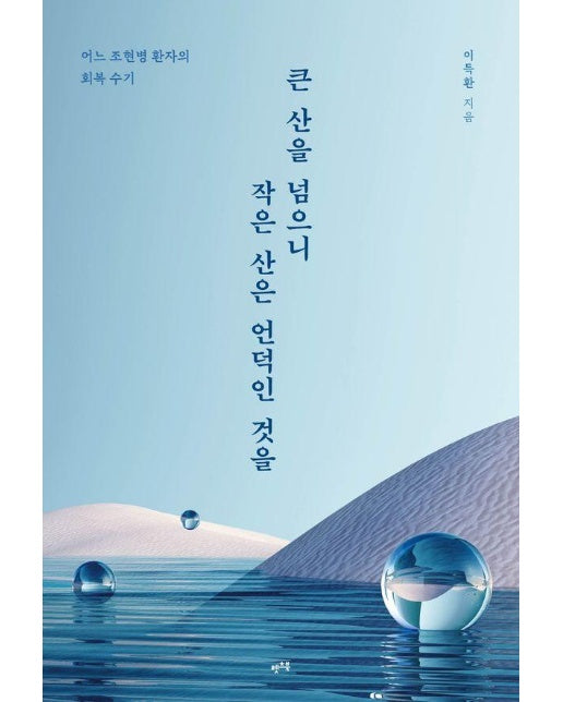 큰 산을 넘으니 작은 산은 언덕인 것을 : 어느 조현병 환자의 회복 수기