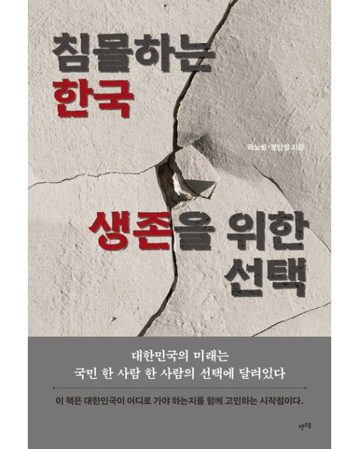 침몰하는 한국, 생존을 위한 선택 (대한민국의 미래는 국민 한 사람 한 사람의 선택에 달려있다)