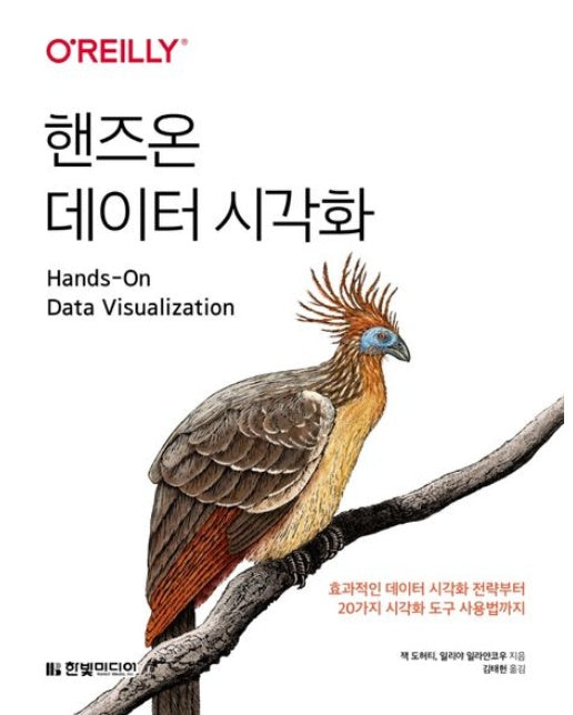 핸즈온 데이터 시각화 (효과적인 데이터 시각화 전략부터 20가지 시각화 도구 사용법까지)