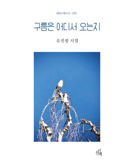 구름은 어디서 오는지