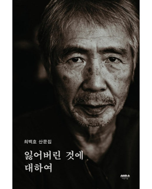 잃어버린 것에 대하여 : 최백호 산문집