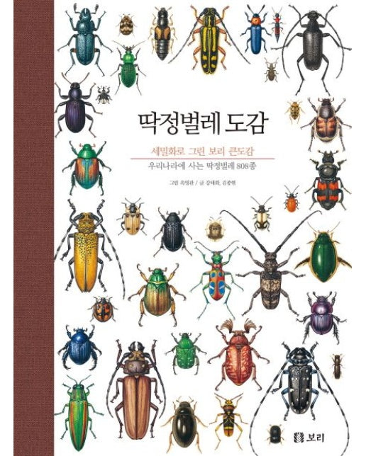 딱정벌레 도감 (세밀화로 그린 보리 큰도감 | 우리나라에 사는 딱정벌레 808종)