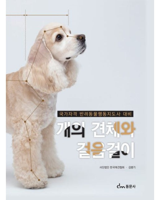 개의 견체와 걸음걸이 (국가자격 반려동물행동지도사 대비)