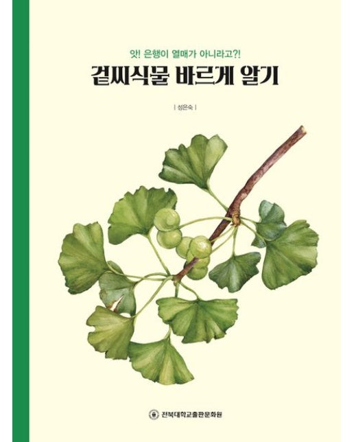 겉씨식물 바르게 알기 (앗! 은행이 열매가 아니라고?!)