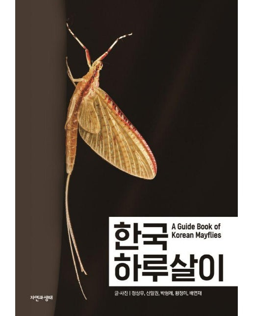 한국 하루살이 - 한국 생물 목록 36