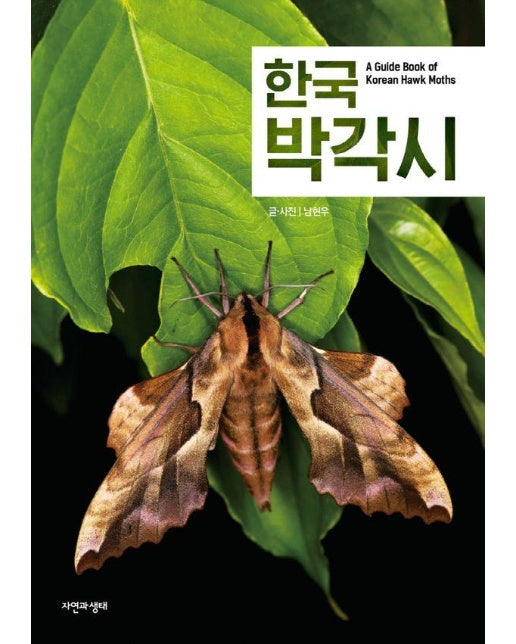 한국 박각시 - 한국 생물 목록 37