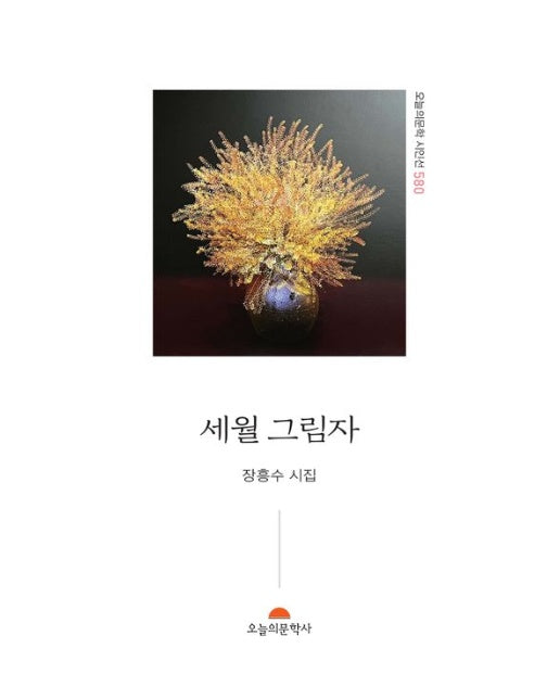 세월 그림자 (장흥수 시집)