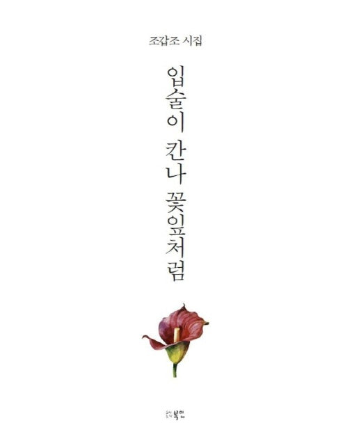 입술이 칸나 꽃잎처럼 - 북인시선