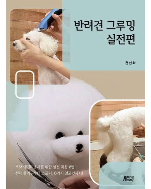 반려견 그루밍 실전편