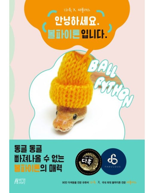 다흑 × 페뷸러스 파충류(뱀) 포토 에세이: 안녕하세요. 볼파이톤입니다