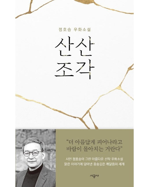 산산조각 : 정호승 우화소설 (양장)