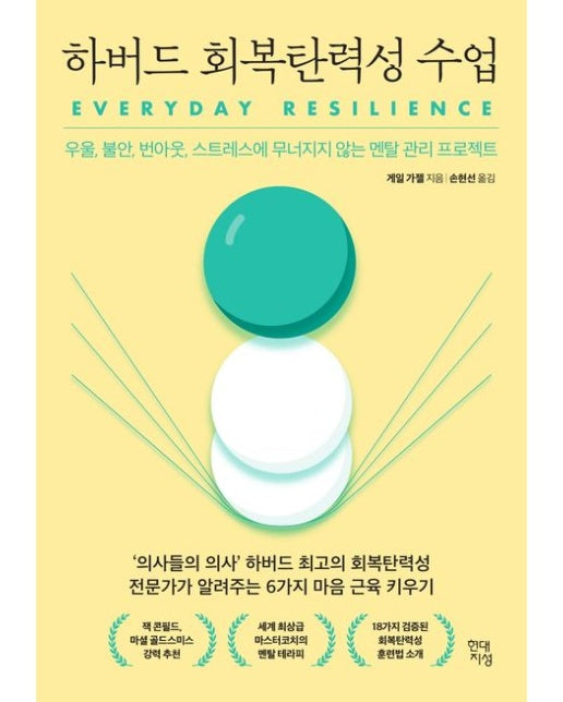 하버드 회복탄력성 수업 (우울, 불안, 번아웃, 스트레스에 무너지지 않는 멘탈 관리 프로젝트)